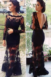 Lace Sheath Long Sleeve Prom Dress Evening Dress, Prom Gowns